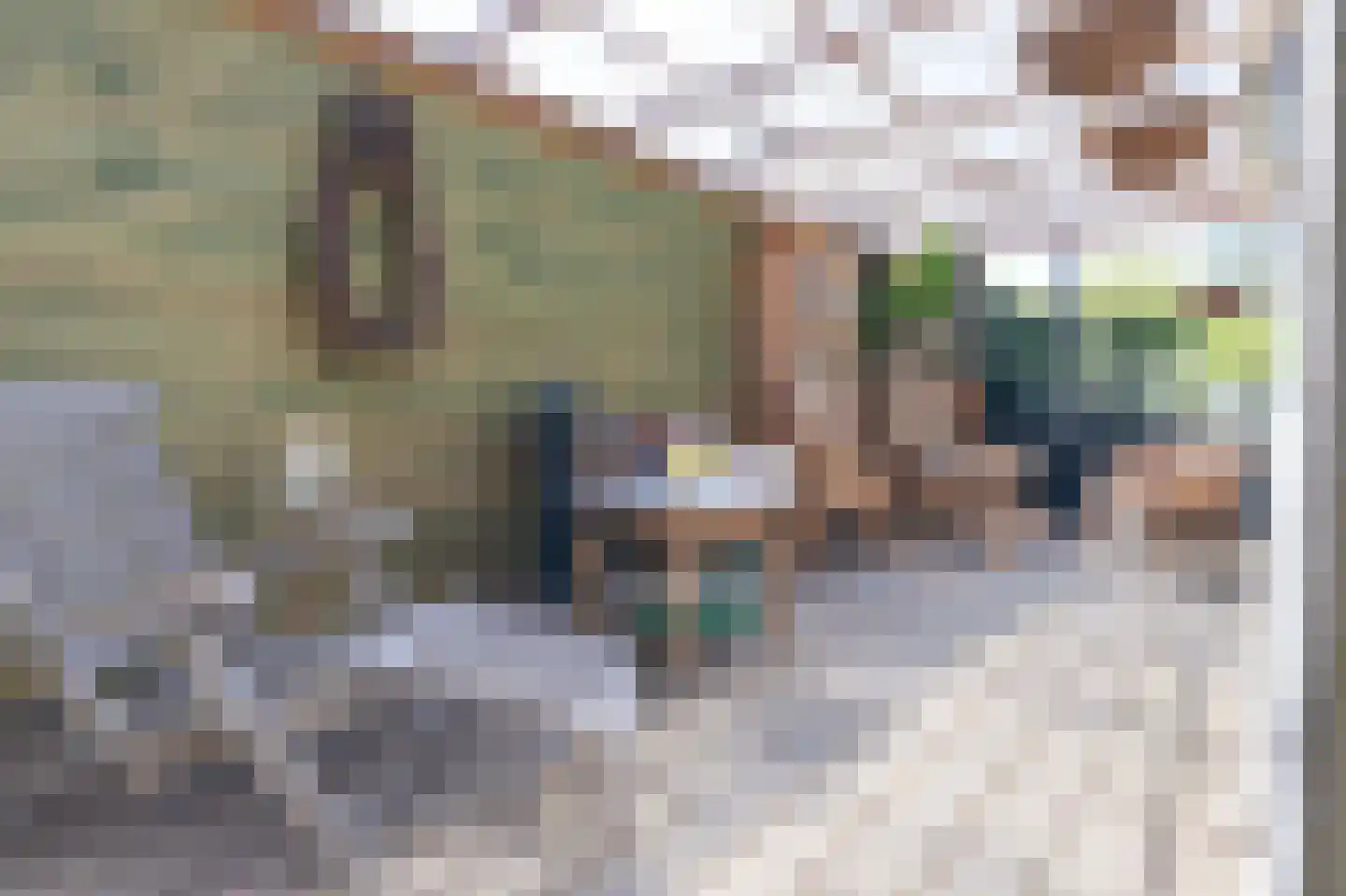 Wogmeer 101 A Spierdijk thumbnail 33