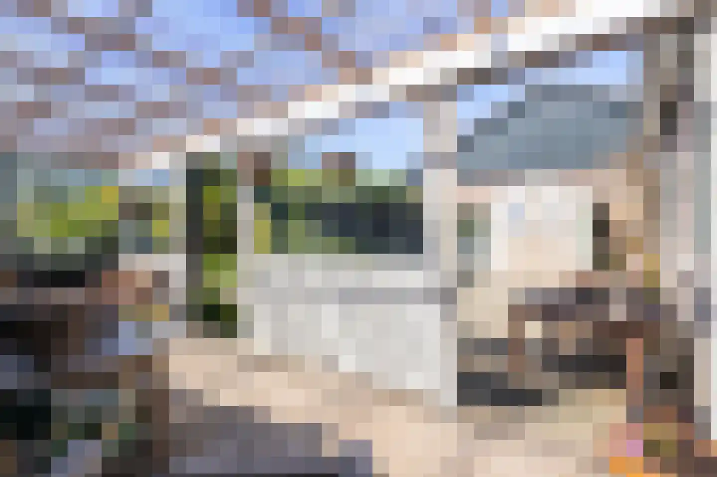 Wogmeer 101 A Spierdijk thumbnail 34