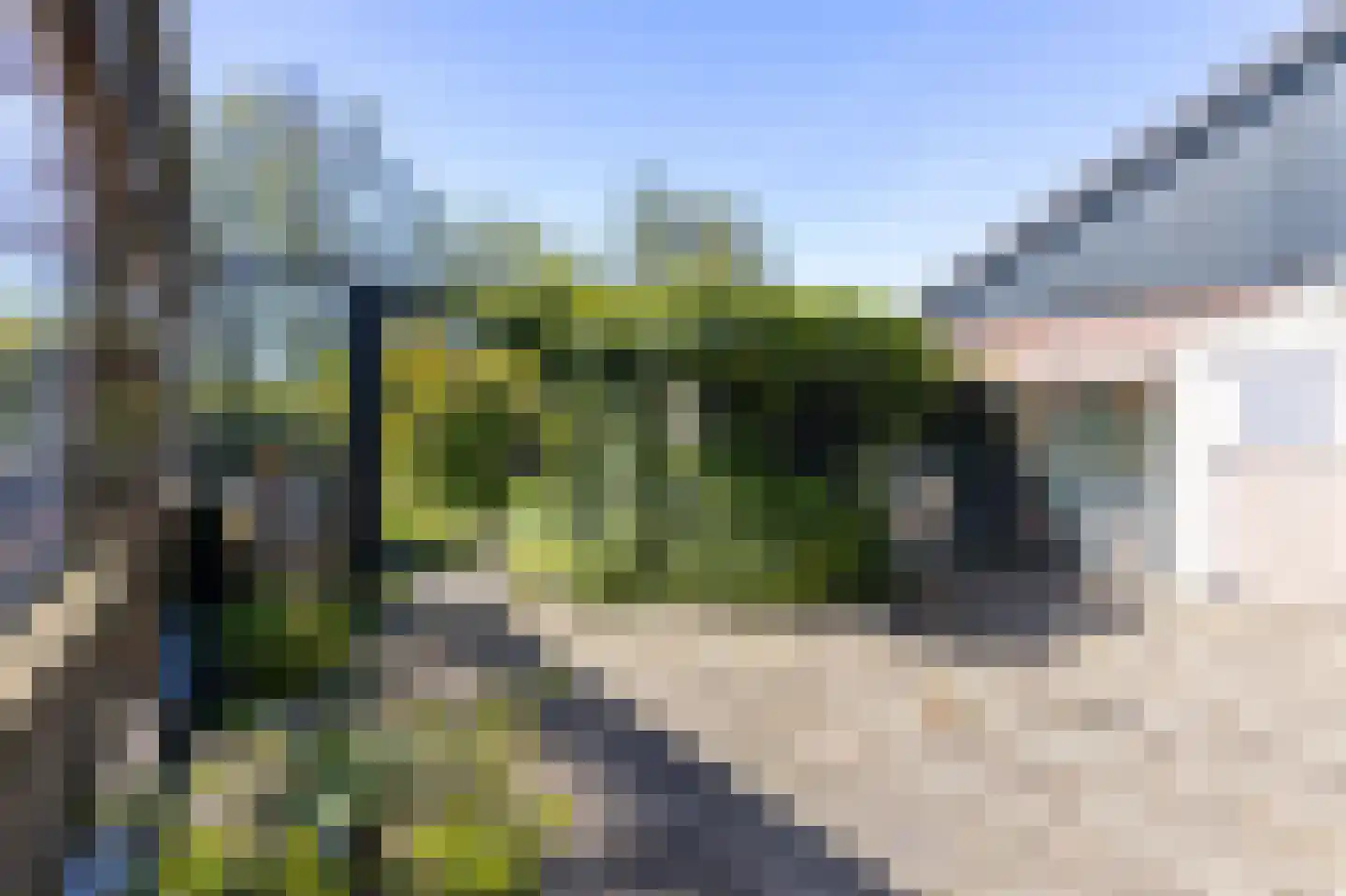 Wogmeer 101 A Spierdijk thumbnail 37