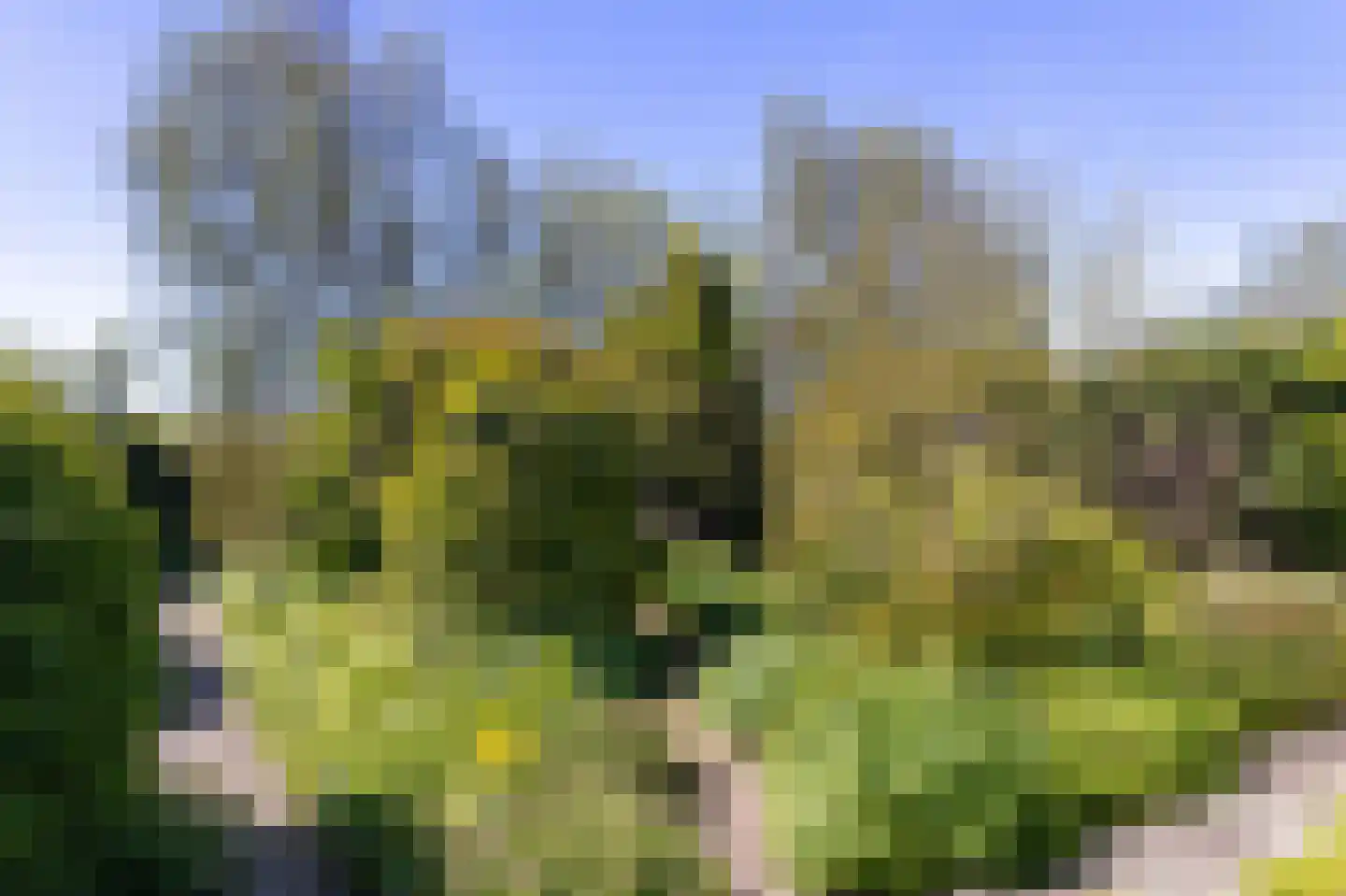 Wogmeer 101 A Spierdijk thumbnail 39