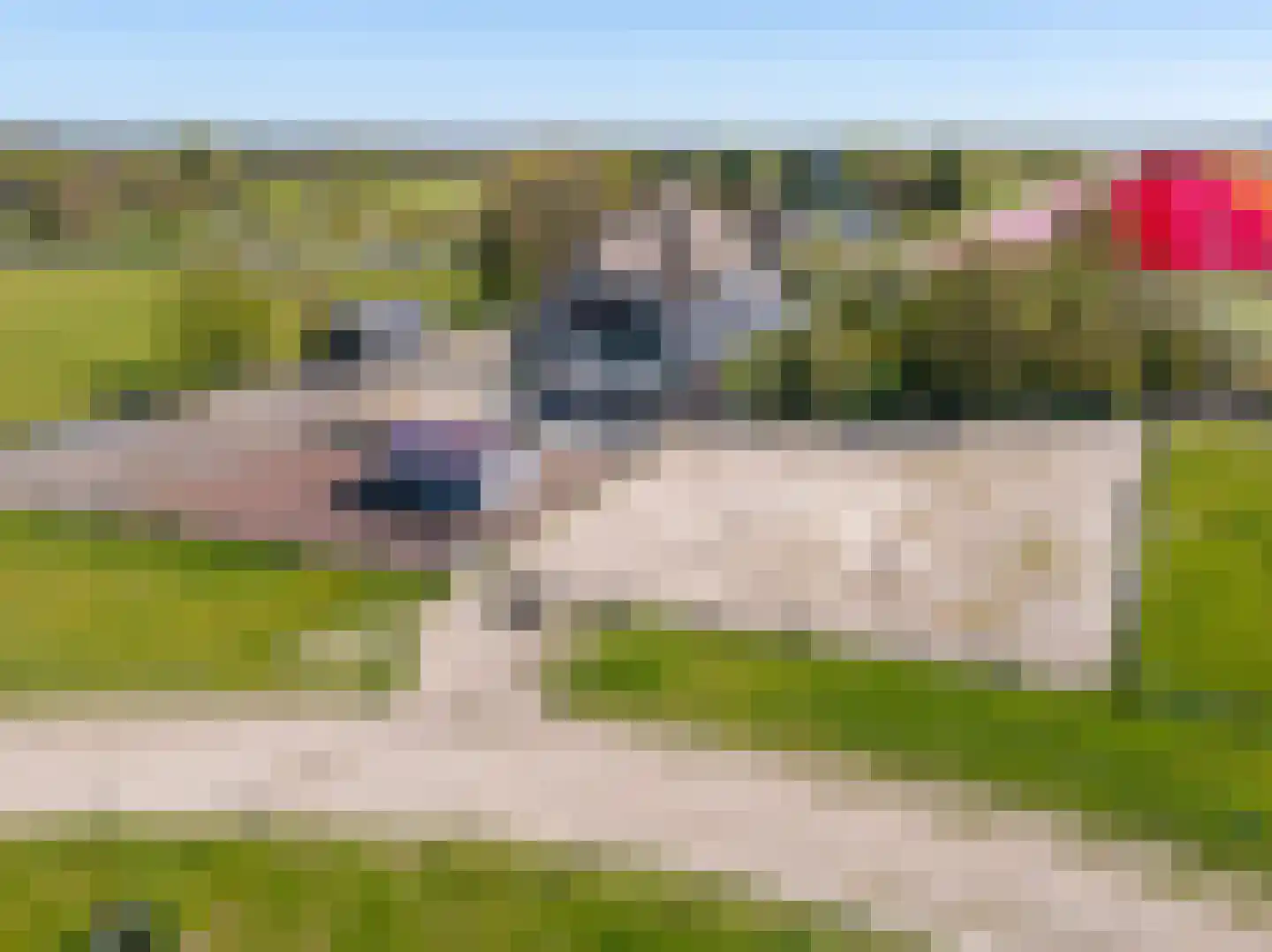Wogmeer 101 A Spierdijk thumbnail 4