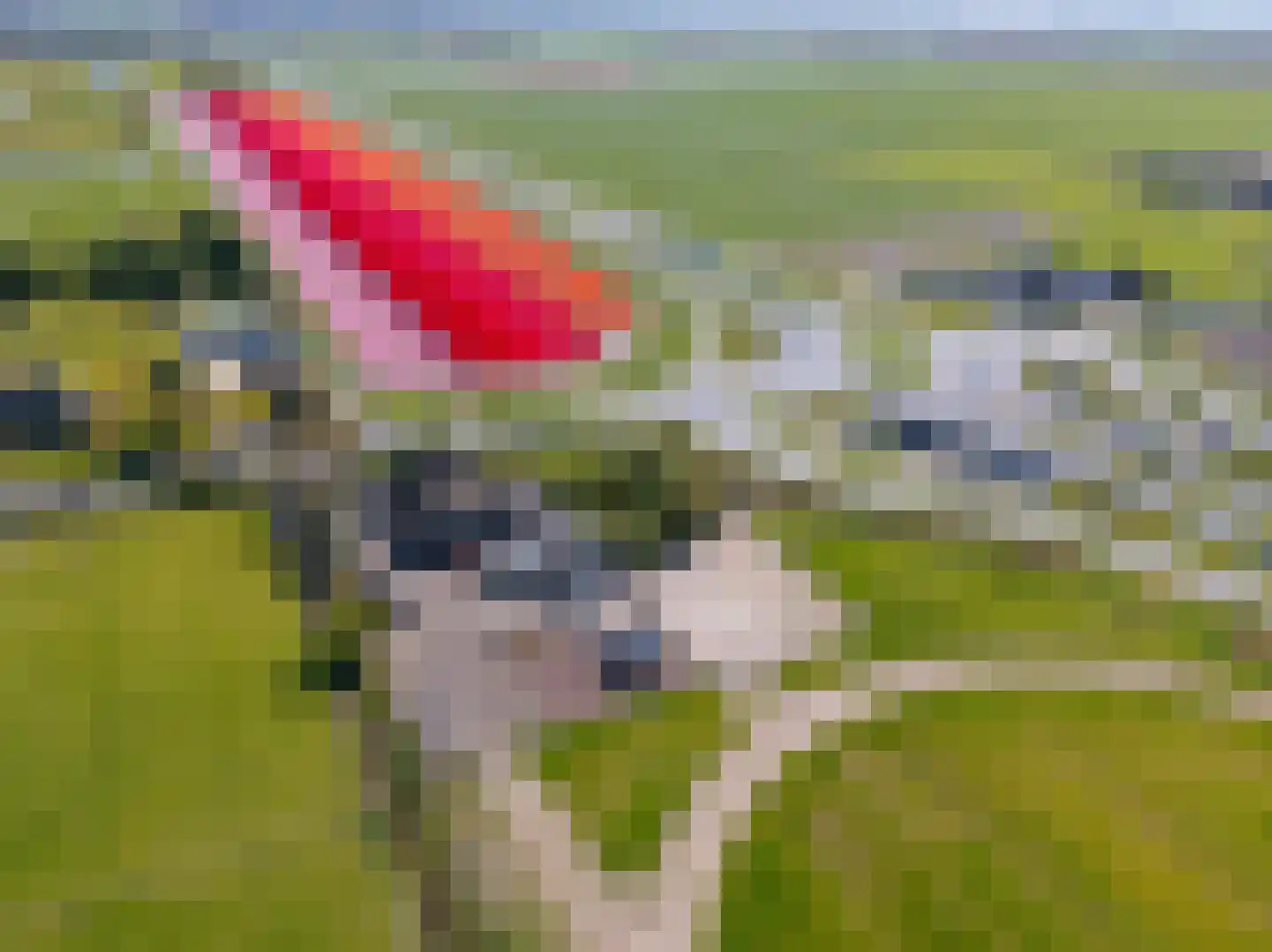 Wogmeer 101 A Spierdijk thumbnail 41