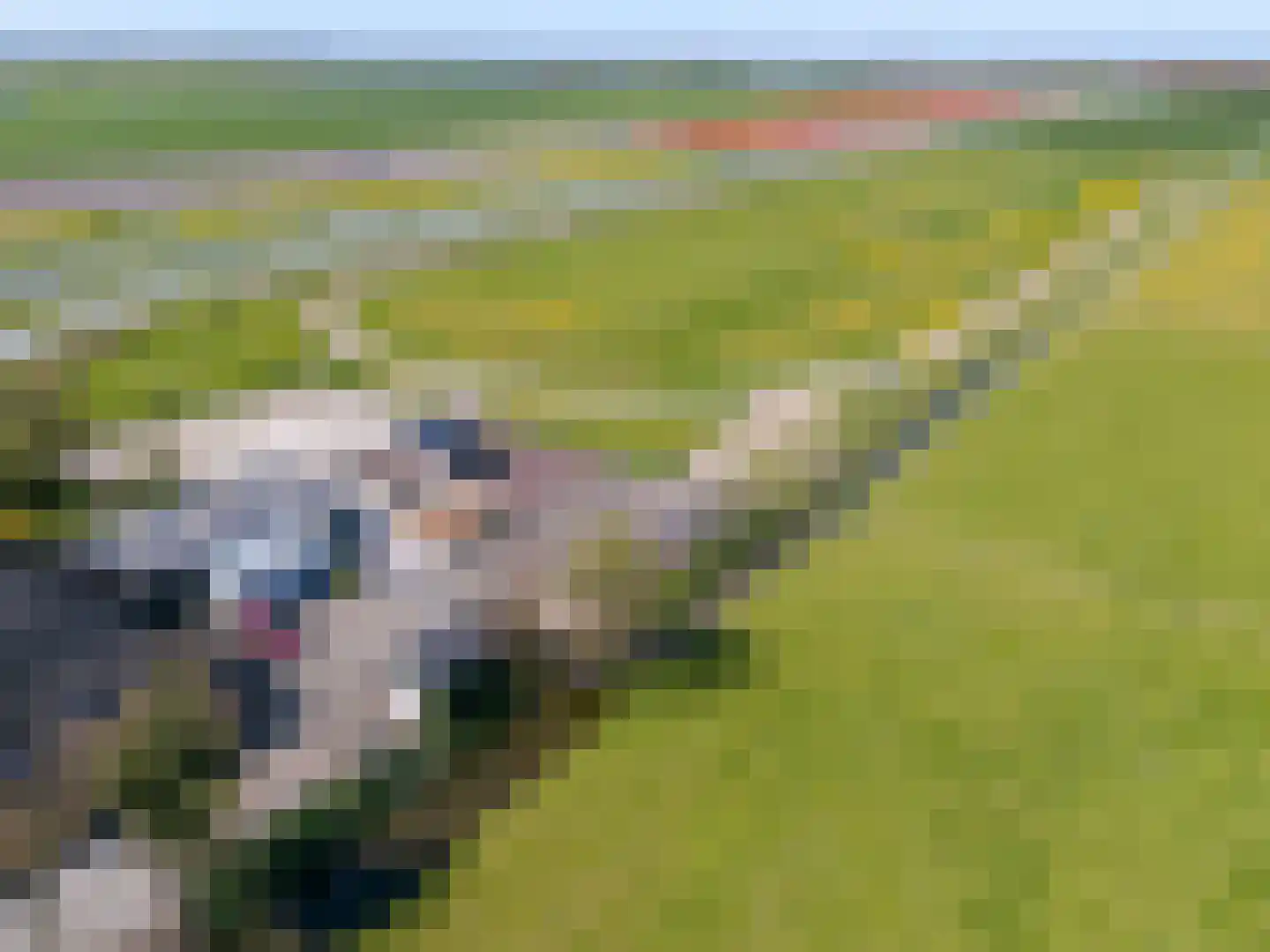 Wogmeer 101 A Spierdijk thumbnail 42