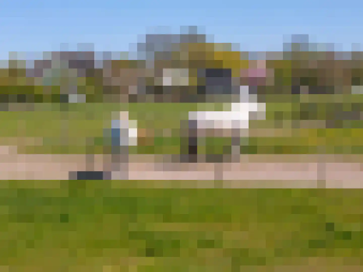 Wogmeer 101 A Spierdijk thumbnail 49