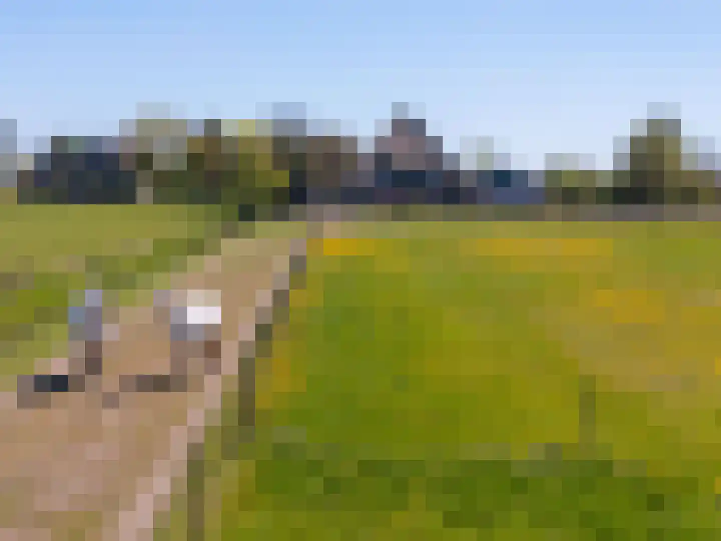 Wogmeer 101 A Spierdijk thumbnail 5