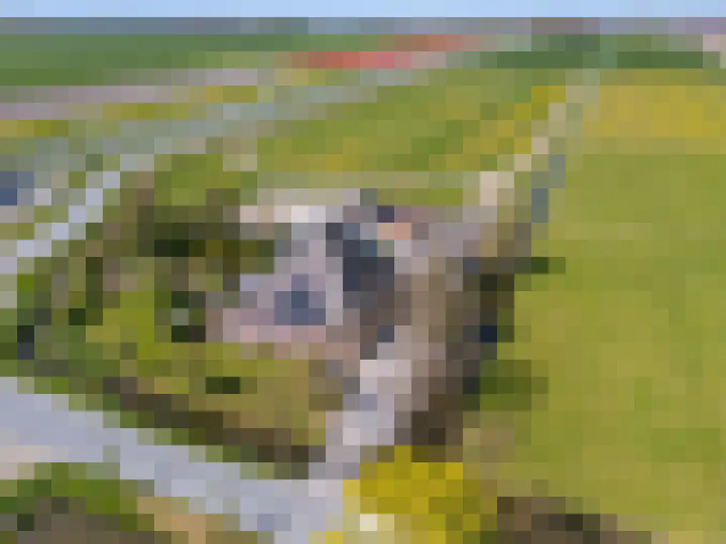 Wogmeer 101 A Spierdijk thumbnail 51