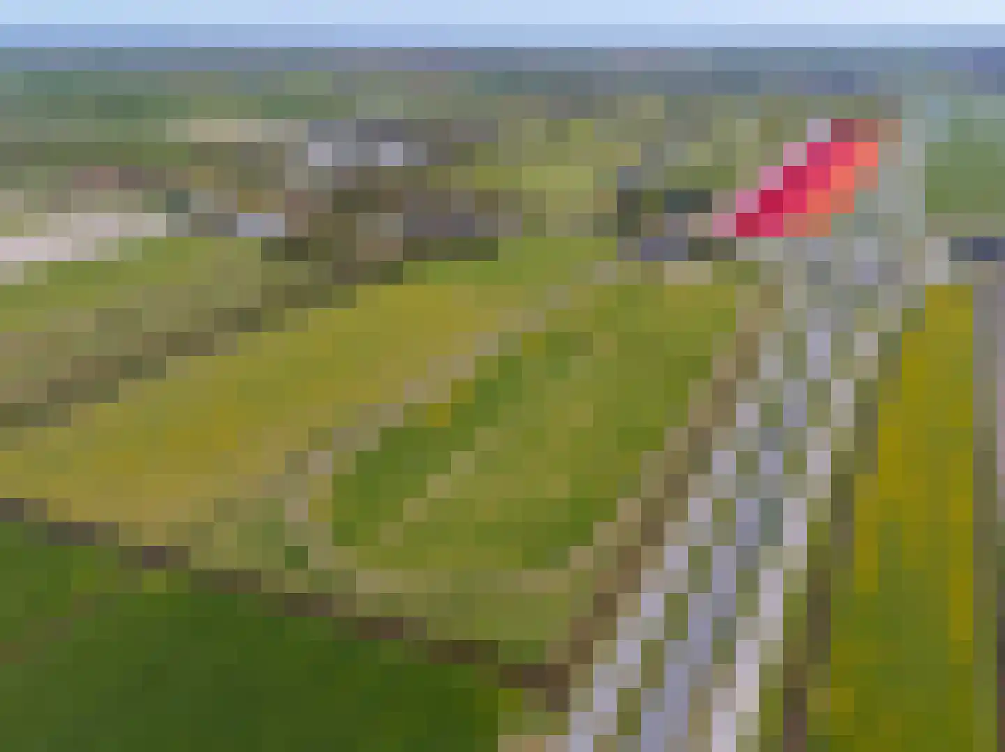 Wogmeer 101 A Spierdijk thumbnail 52