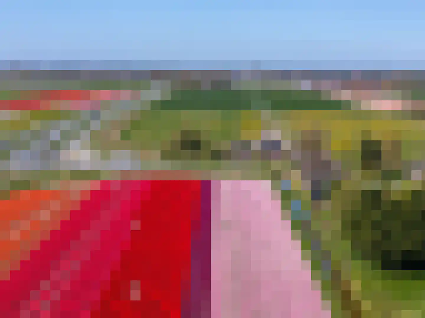 Wogmeer 101 A Spierdijk thumbnail 54