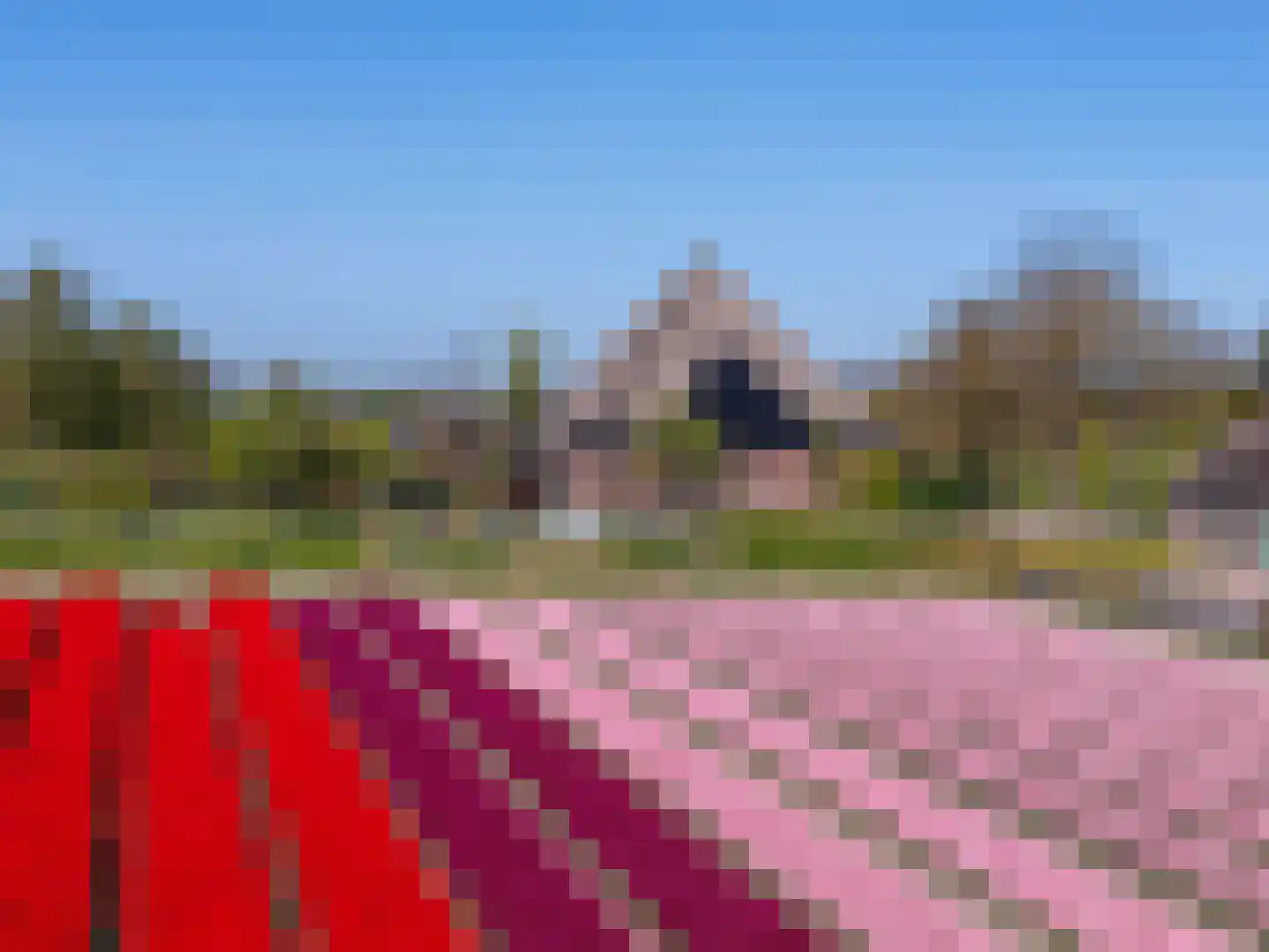 Wogmeer 101 A Spierdijk thumbnail 55