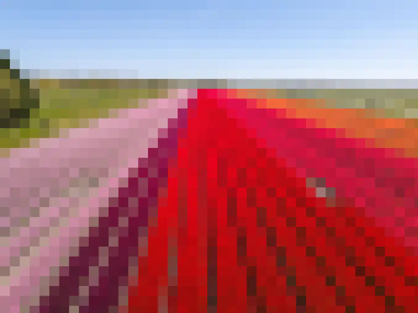 Wogmeer 101 A Spierdijk thumbnail 56