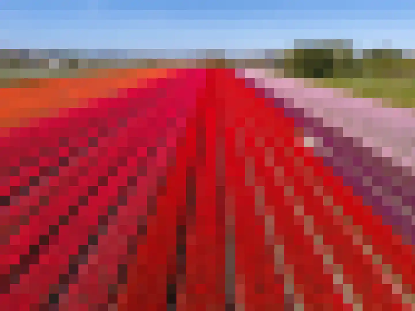 Wogmeer 101 A Spierdijk thumbnail 57
