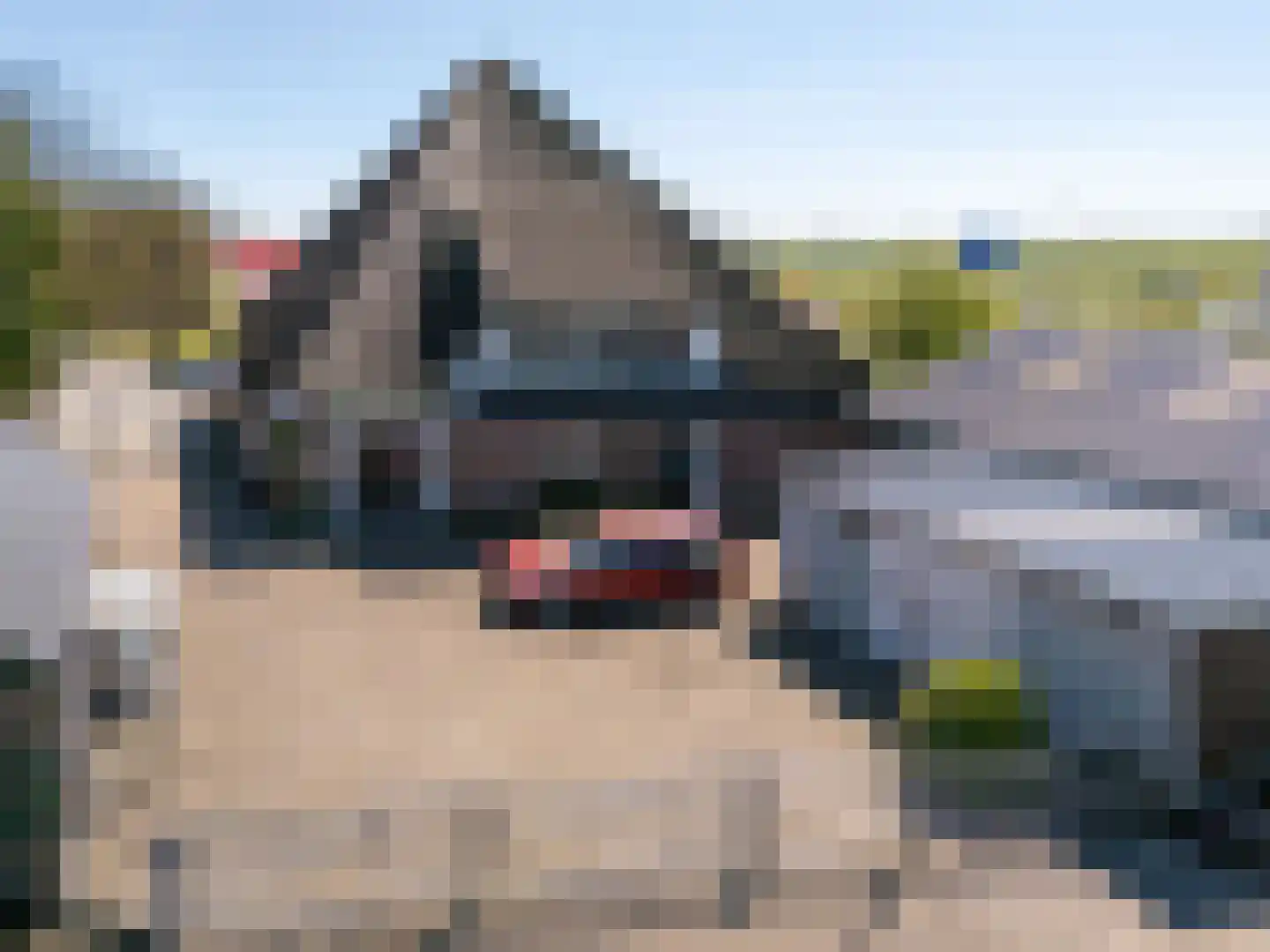 Wogmeer 101 A Spierdijk thumbnail 7