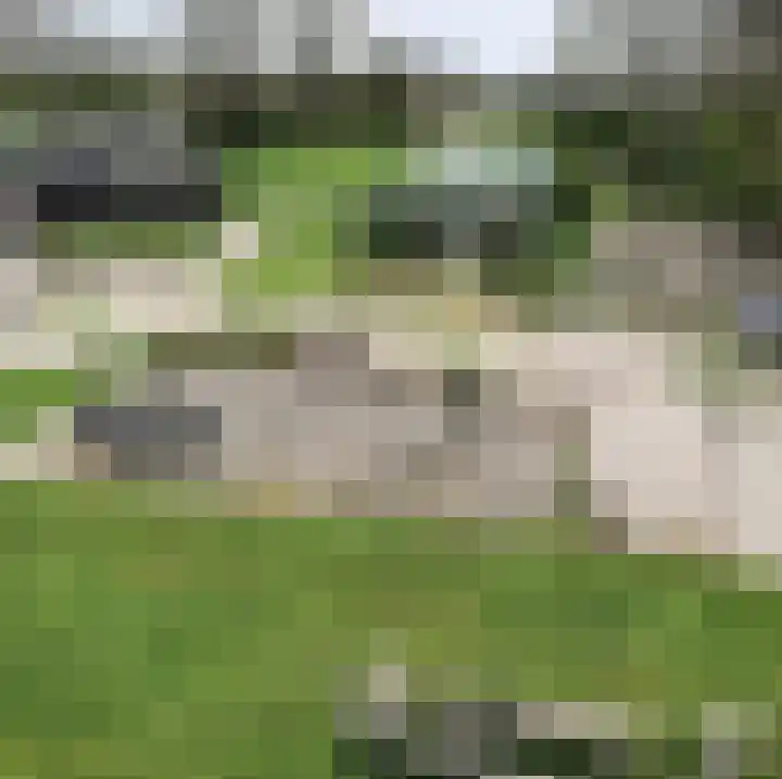 Wogmeer 105 Spierdijk thumbnail 14