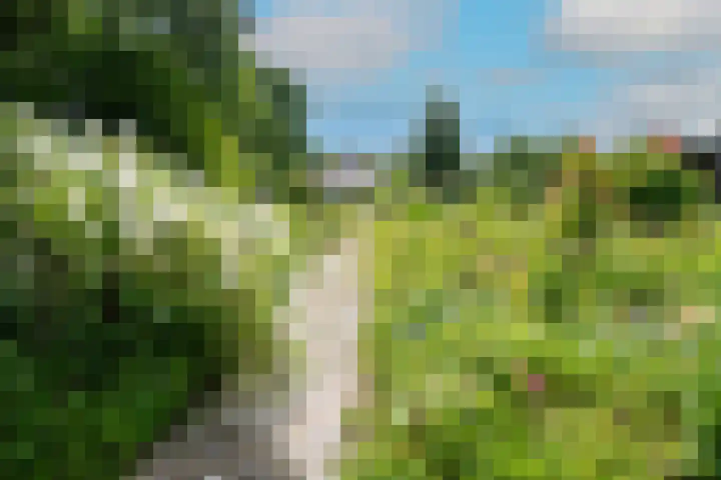 Wogmeer 105 Spierdijk thumbnail 61