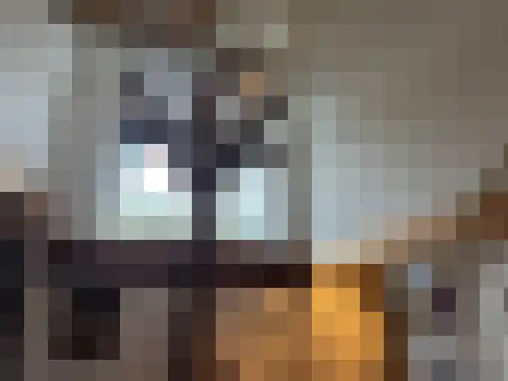 Wogmeer 105 Spierdijk thumbnail 8