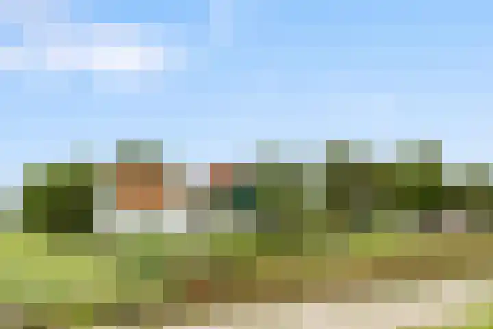 Wogmeer 12 Hensbroek thumbnail 24