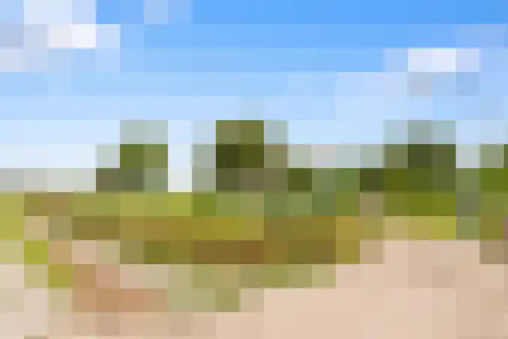 Wogmeer 12 Hensbroek thumbnail 25