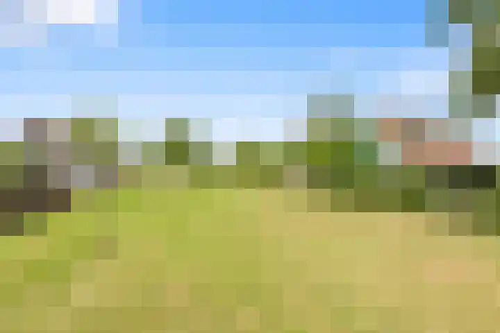 Wogmeer 12 Hensbroek thumbnail 32