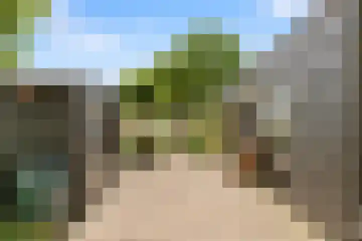 Wogmeer 12 Hensbroek thumbnail 36