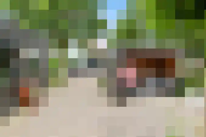 Wogmeer 12 Hensbroek thumbnail 40
