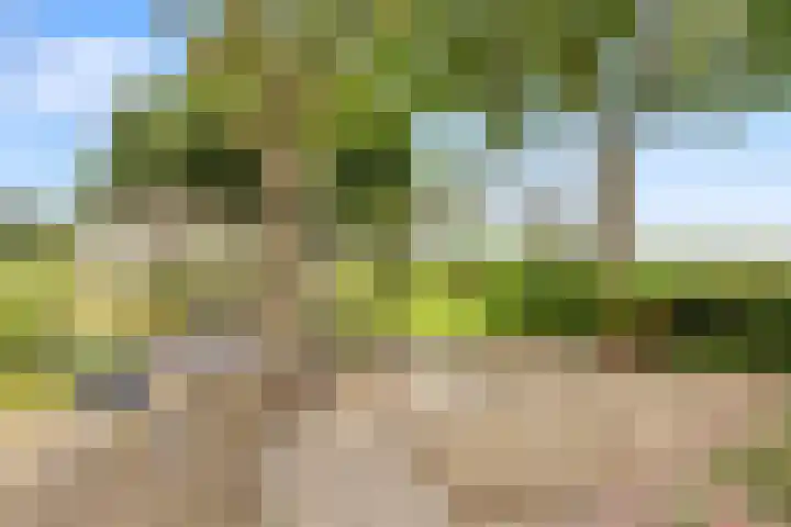 Wogmeer 12 Hensbroek thumbnail 42