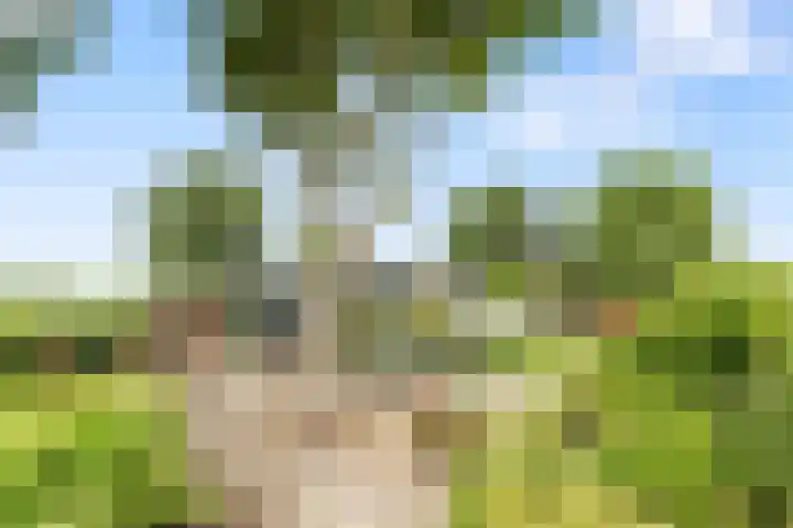 Wogmeer 12 Hensbroek thumbnail 46