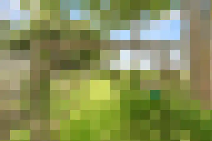Wogmeer 12 Hensbroek thumbnail 50