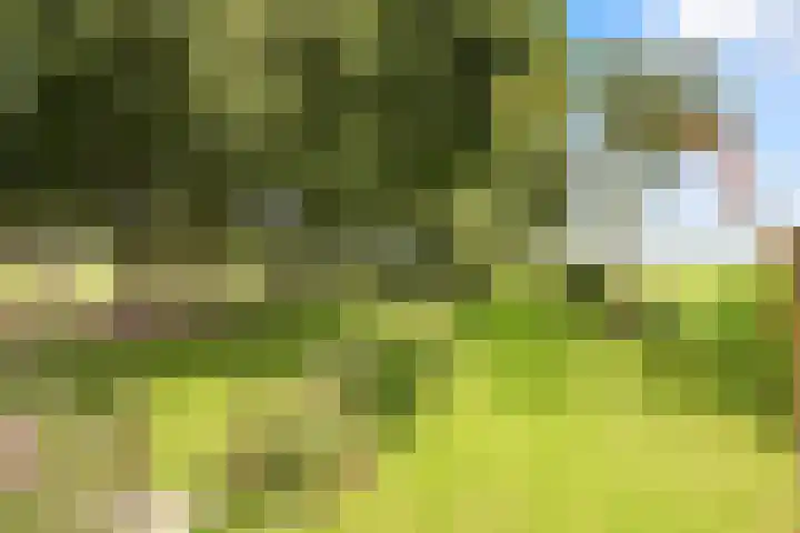 Wogmeer 12 Hensbroek thumbnail 51