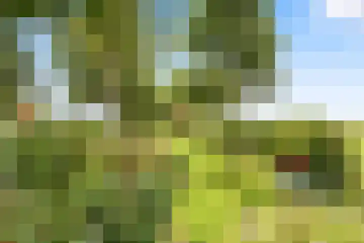 Wogmeer 12 Hensbroek thumbnail 54