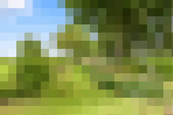 Wogmeer 12 Hensbroek thumbnail 58