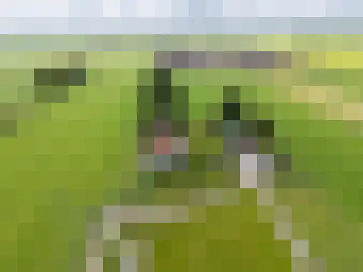 Wogmeer 12 Hensbroek thumbnail 61