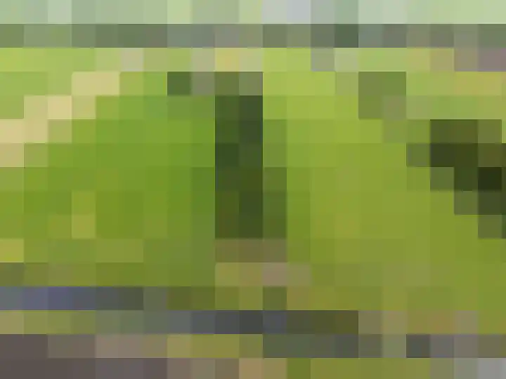 Wogmeer 12 Hensbroek thumbnail 64
