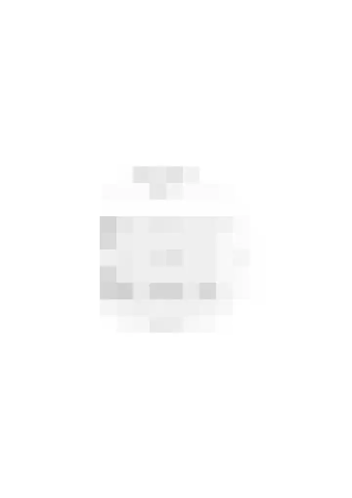 Wogmeer 12 Hensbroek thumbnail 69
