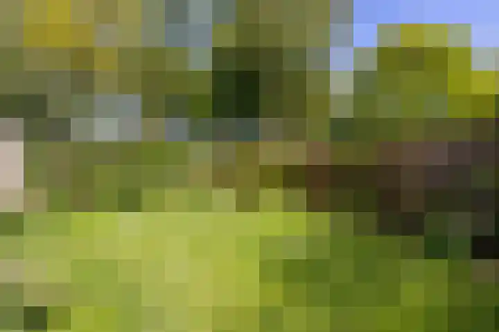 Wogmeer 3 Lelystad thumbnail 13