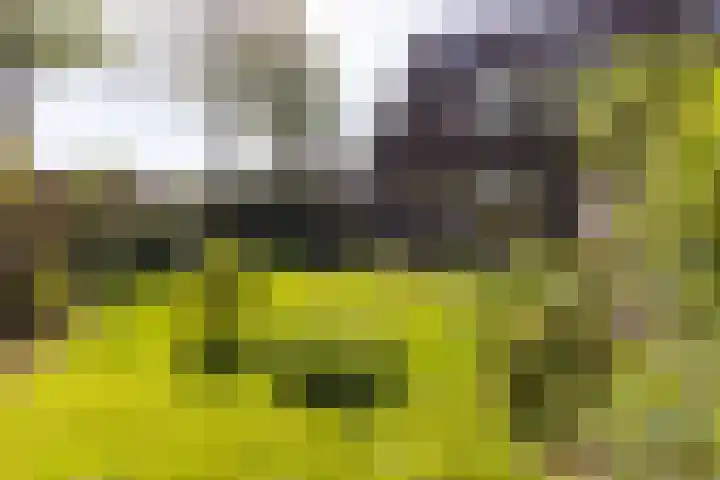Wogmeer 3 Lelystad thumbnail 14