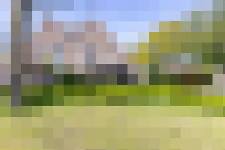Wogmeer 3 Lelystad thumbnail 33