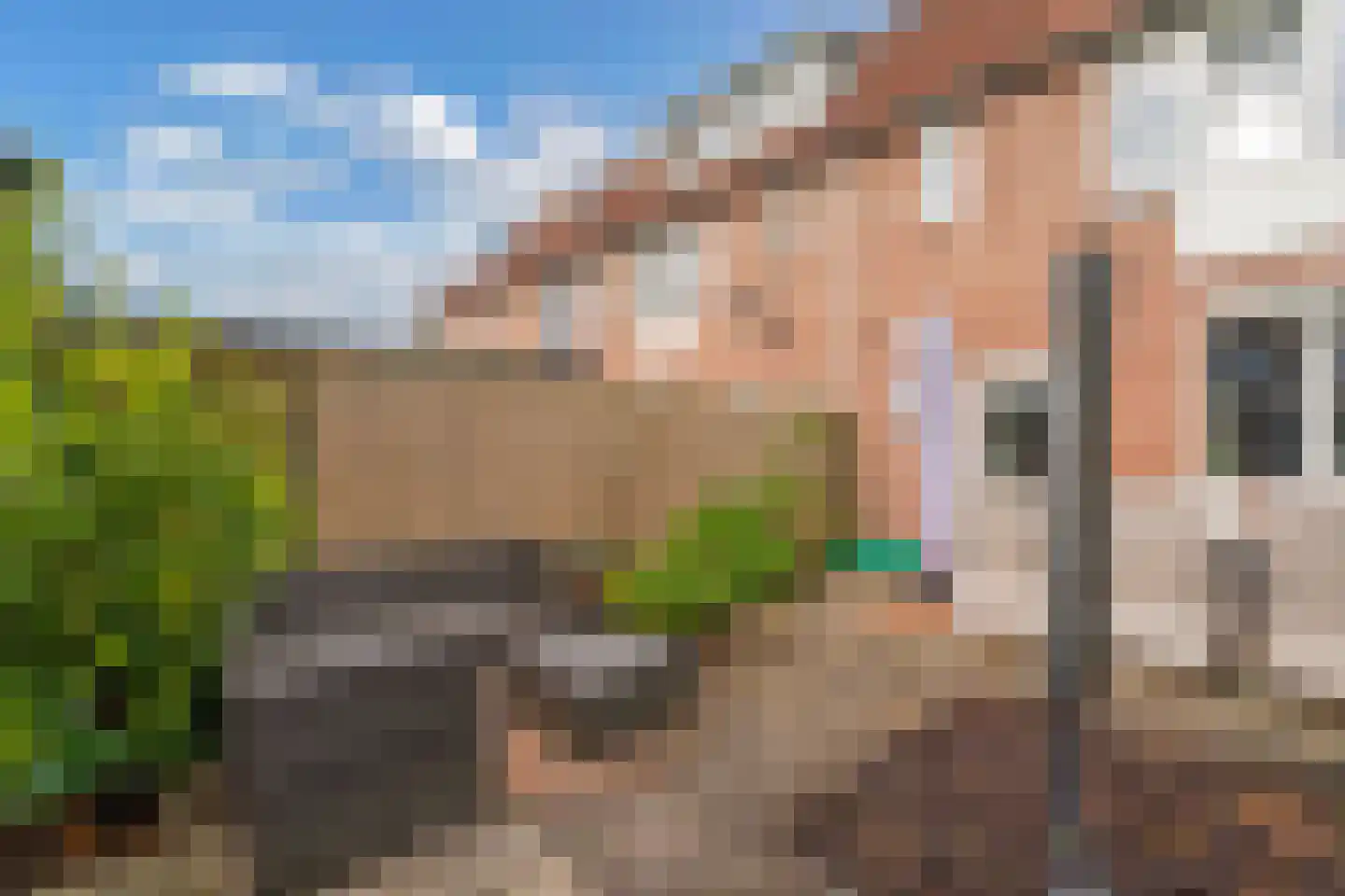 Wogmeer 37 Lelystad thumbnail 38