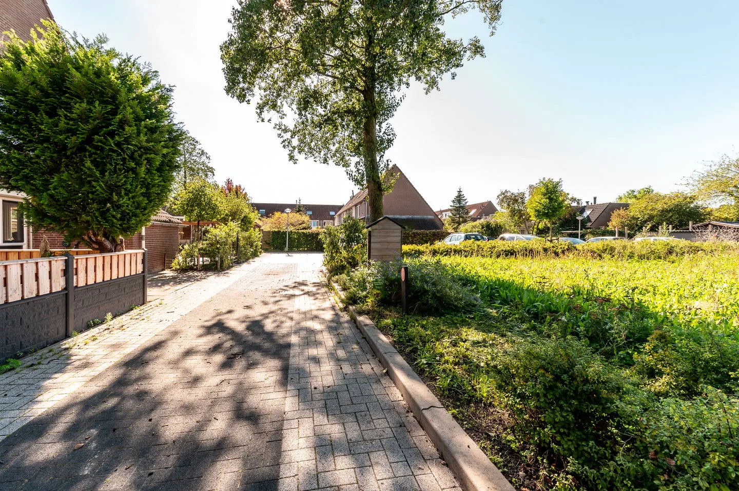 Wogmeer 7 Lelystad thumbnail 41