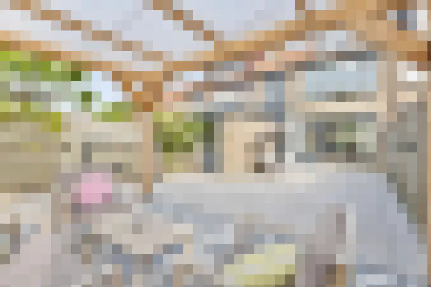 Wogmeerstraat 15 Hoofddorp thumbnail 41