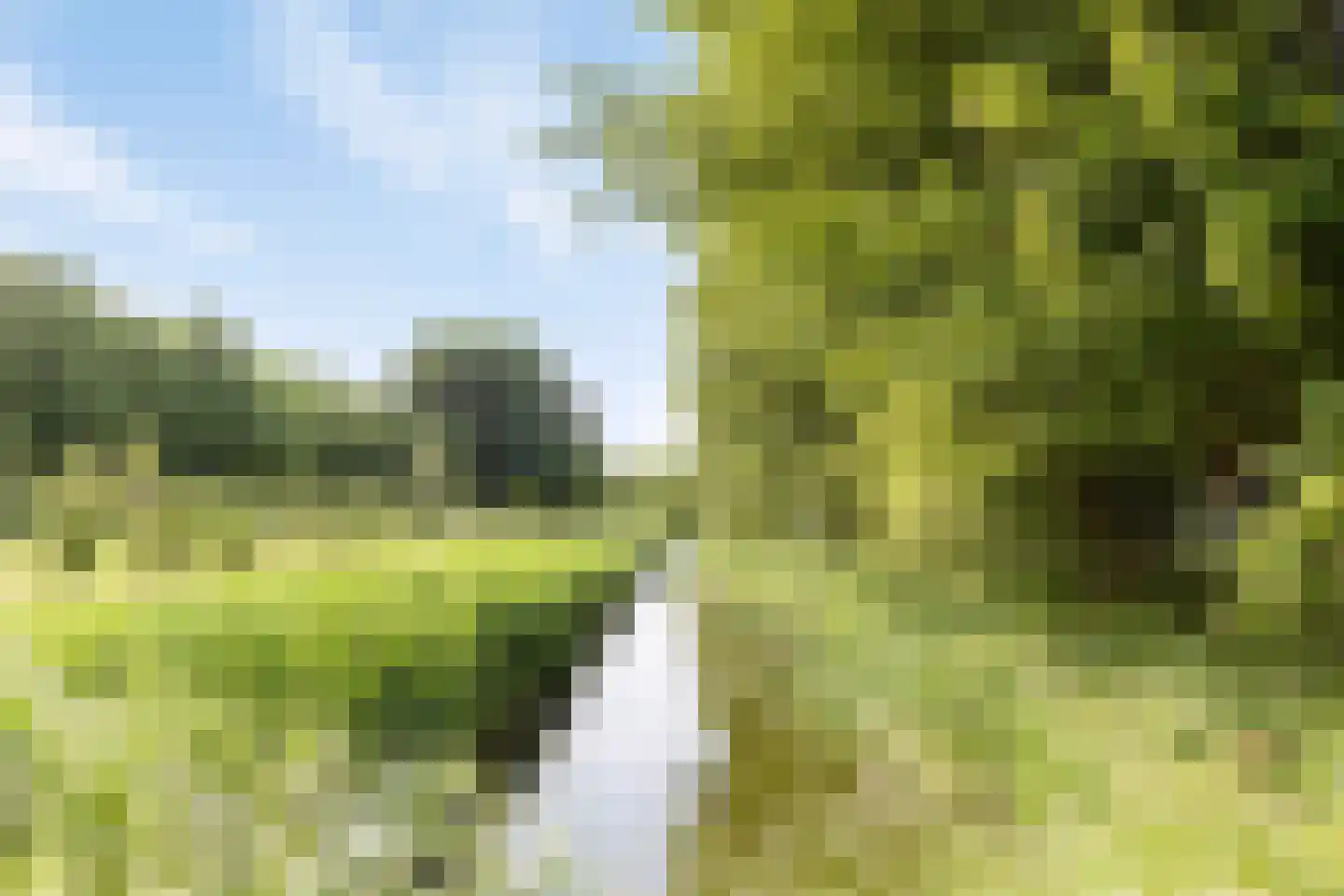 Wogmeerstraat 15 Hoofddorp thumbnail 44