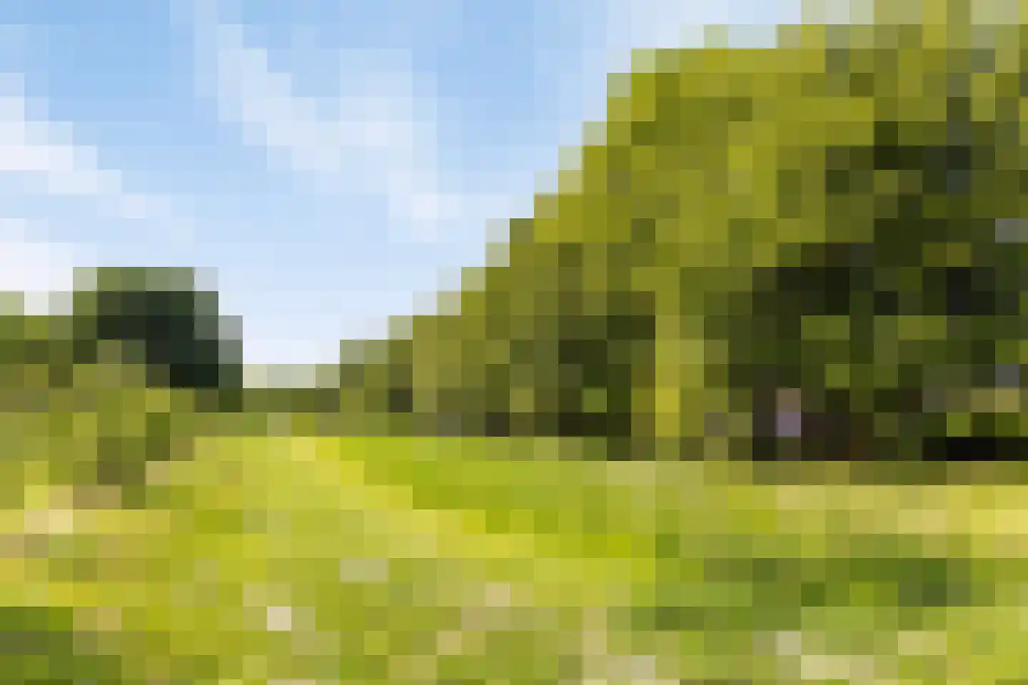 Wogmeerstraat 15 Hoofddorp thumbnail 45