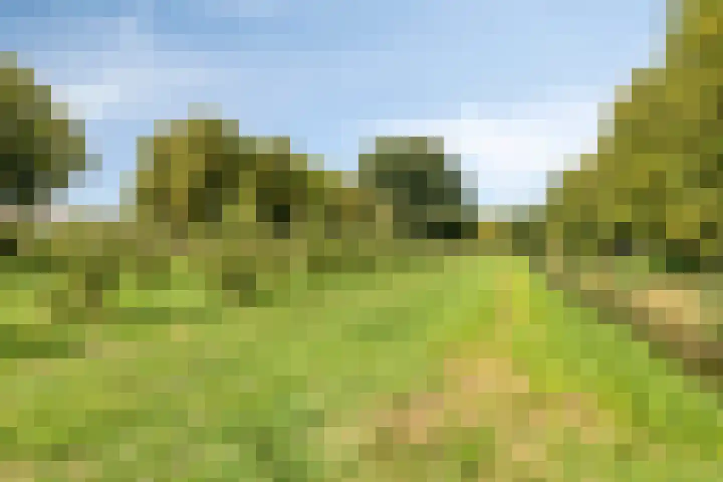 Wogmeerstraat 7 Hoofddorp thumbnail 36