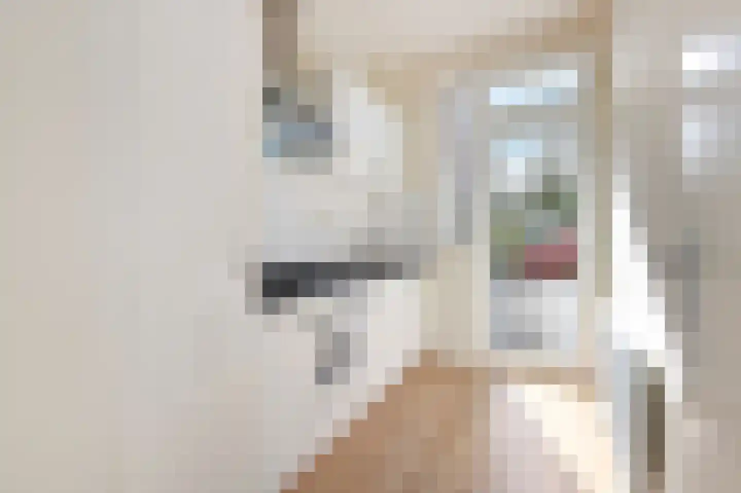Wognumstraat 122 Den Haag thumbnail 9