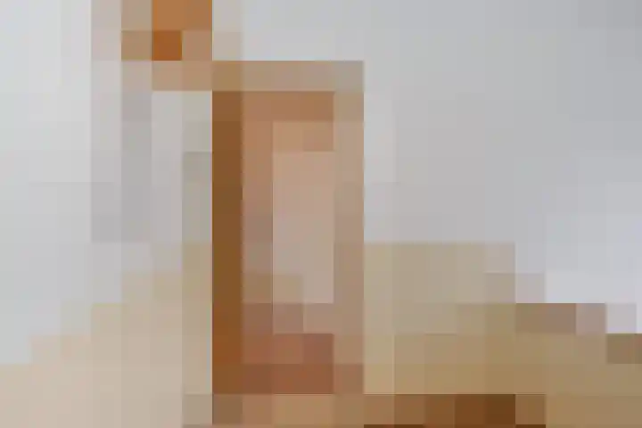 Wognumstraat 16 Den Haag thumbnail 5