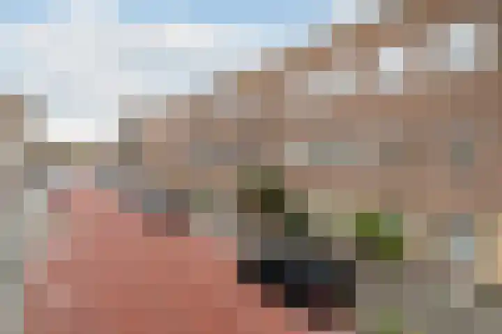 Wognumstraat 22 Den Haag thumbnail 21