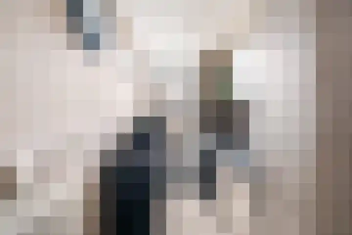 Wognumstraat 22 Den Haag thumbnail 7