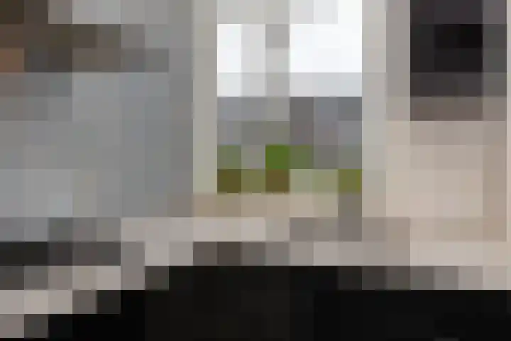 Wognumstraat 38 Den Haag thumbnail 10