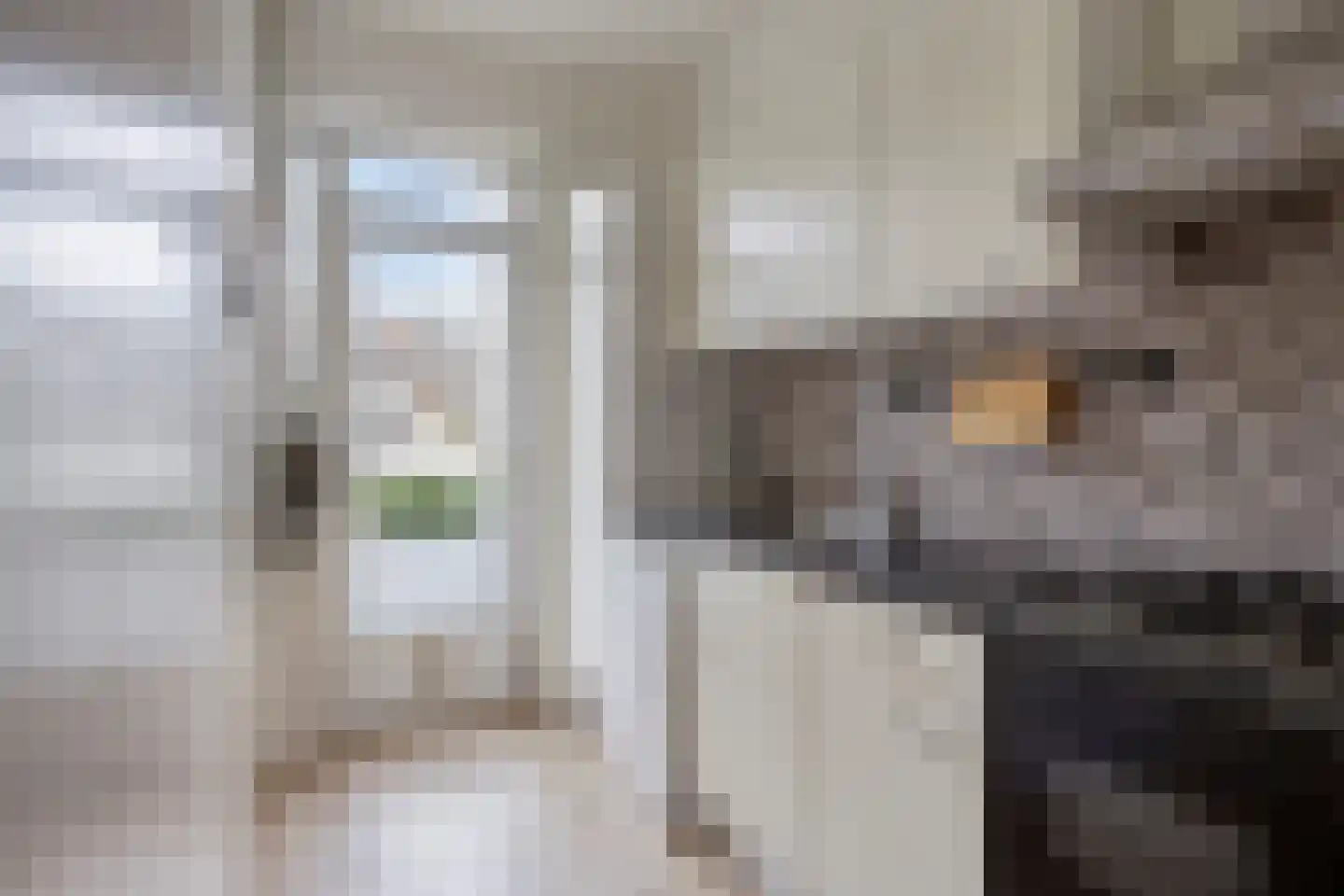 Wognumstraat 56 Den Haag thumbnail 4