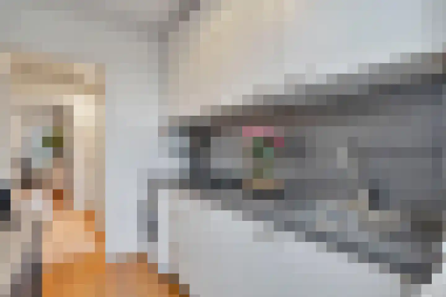 Wognumstraat 71 Den Haag thumbnail 12