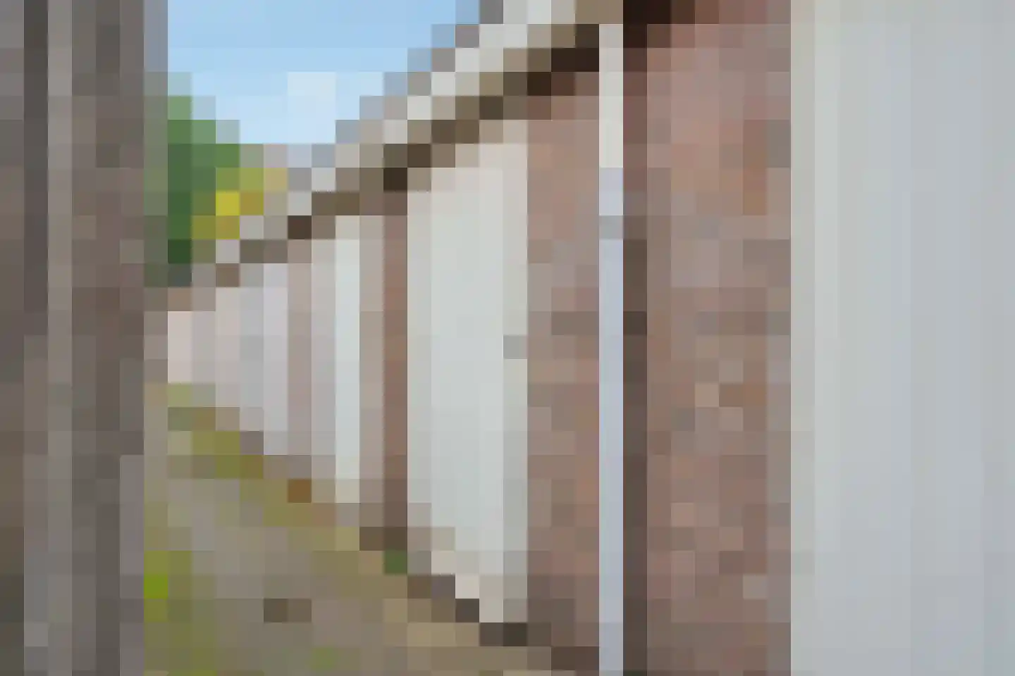 Wognumstraat 71 Den Haag thumbnail 27